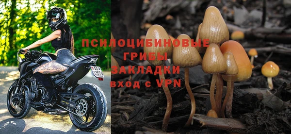 трава Верхнеуральск