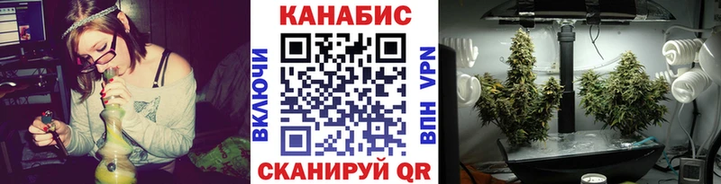 Купить закладки  Полярный  Бошки марихуана SATIVA & INDICA 